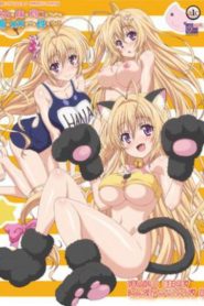 Baka na Imouto wo Rikou ni Suru no wa Ore no XX Dake na Ken ni Tsuite