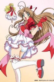 Mahou Shoujo Sae